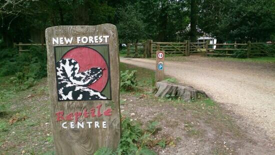 New Forest Reptile Centre景点图片