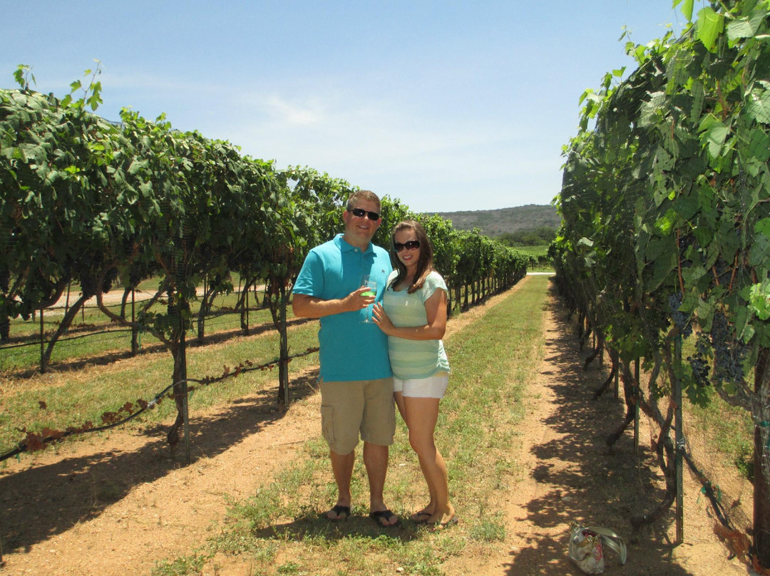 Perissos Vineyards-Burnet必去景点