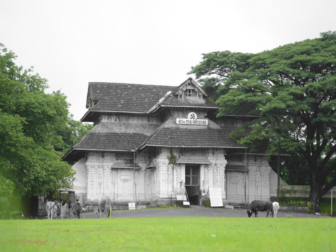 Vadakkunnathan Temple景点图片