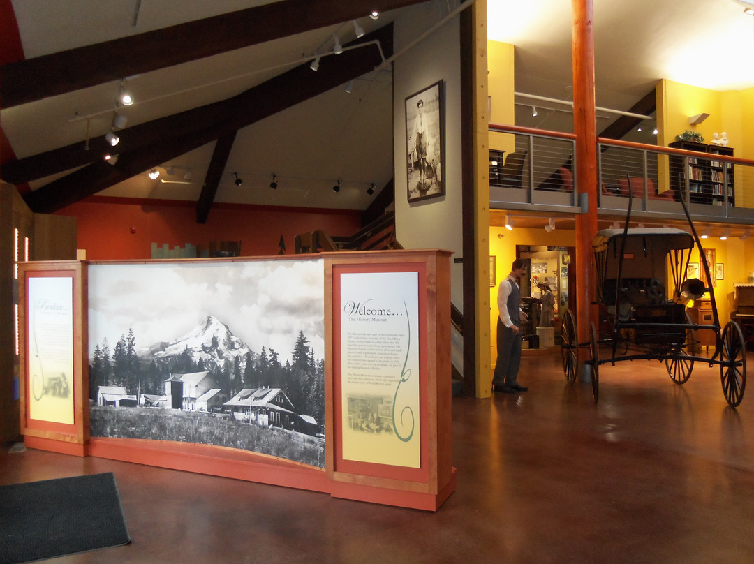 The History Museum景点图片