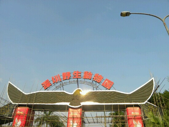 深圳野生动物园-深圳市必去景点