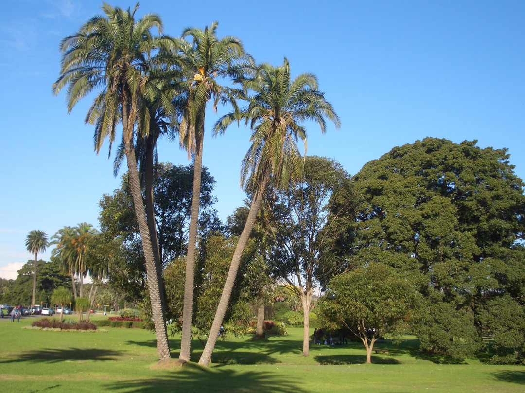 悉尼世纪公园-悉尼必去景点