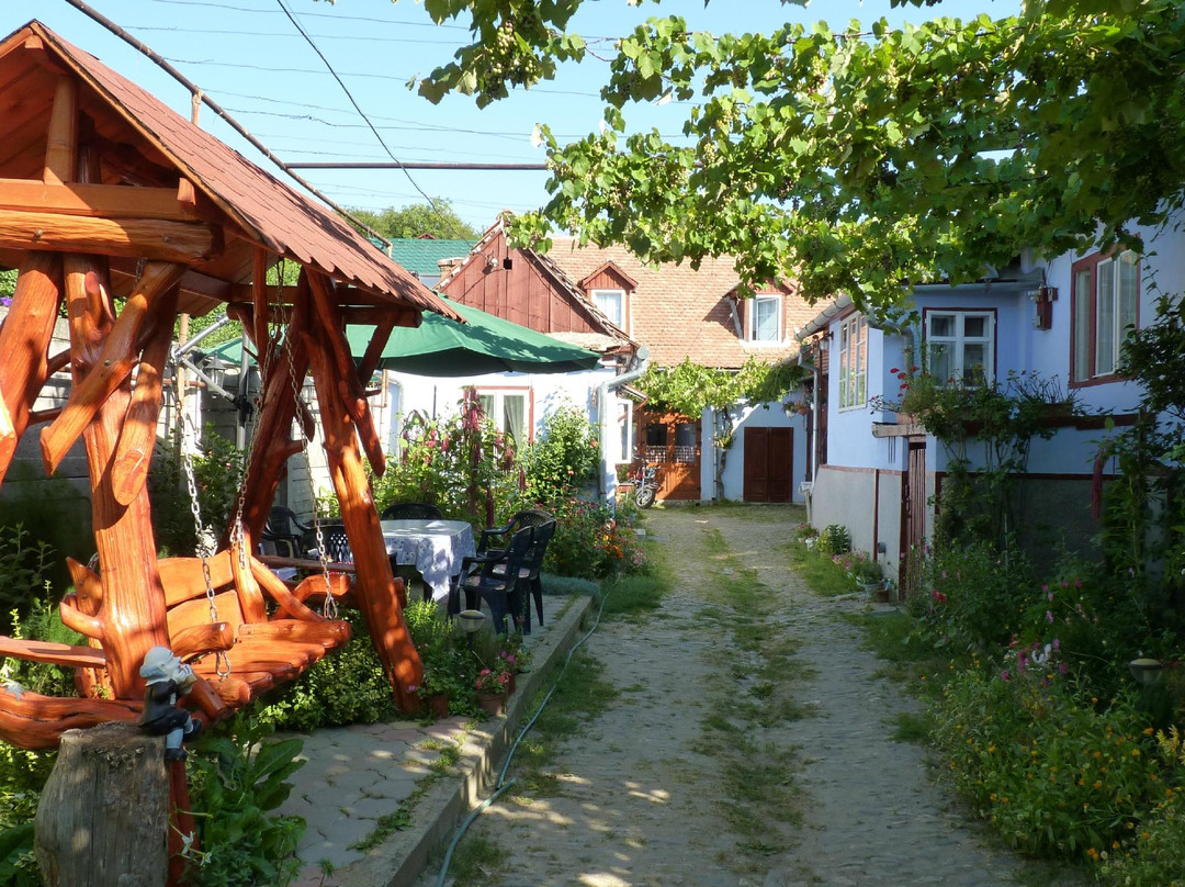 Saliste旅游攻略图片