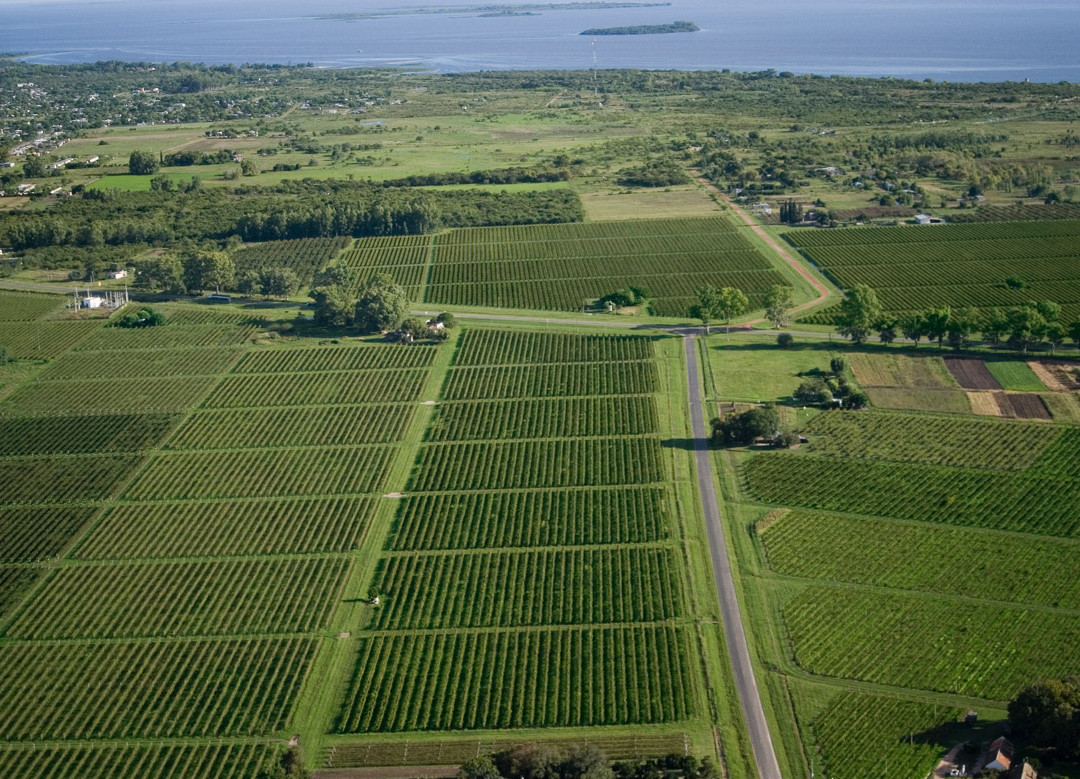 Le Bon Vivre-Carmelo必去景点