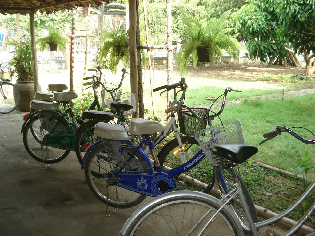 智能烹饪技术-清迈必去景点