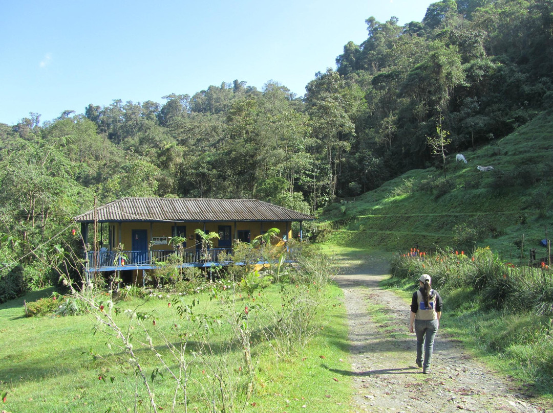 Reserva Ecologica Rio Blanco-Manizales必去景点