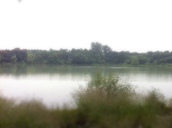 浣花溪公园-成都必去景点