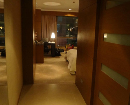 宝隆金富门酒店主图