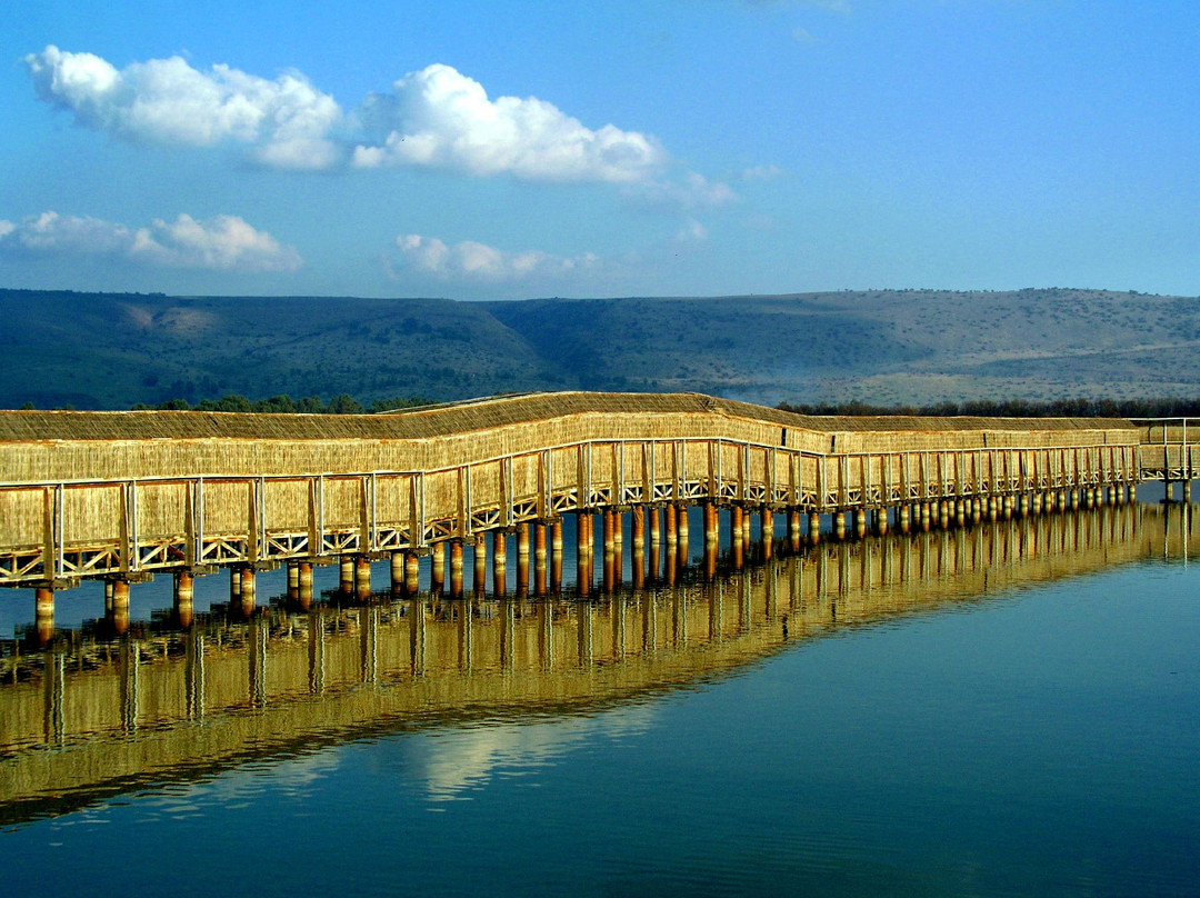 加利利旅游攻略图片