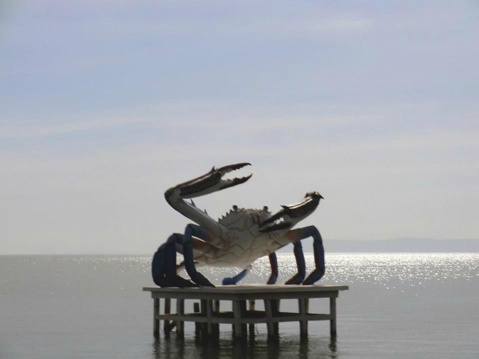 Crab Statue-白马必去景点