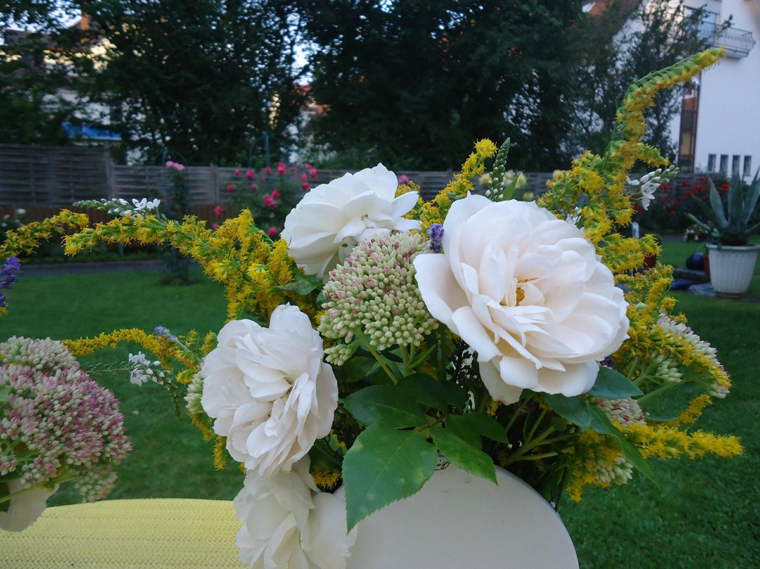 赫希赫尔酒店主图