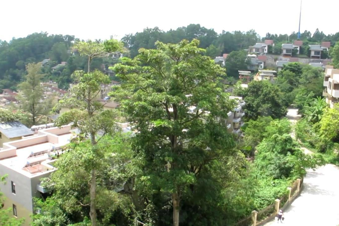 翡翠谷生态度假山庄主图