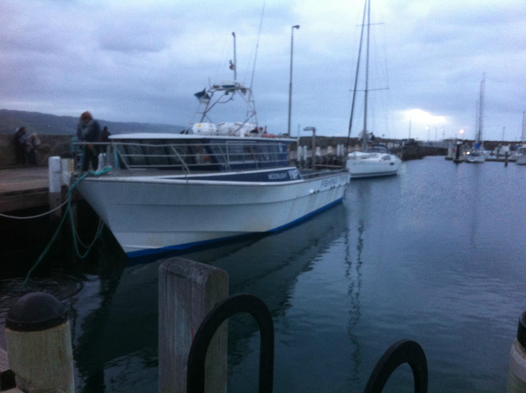 Apollo Bay Fishing & Adventure Tours景点图片