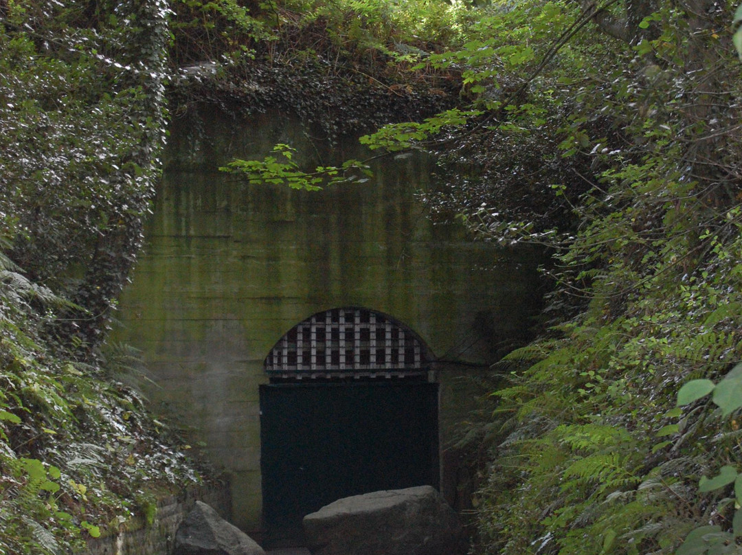 German Underground Hospital景点图片