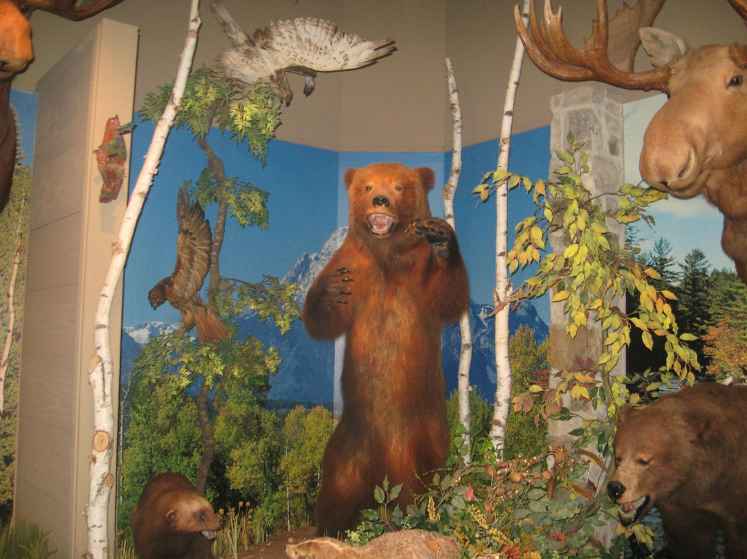 Brookshire's World of Wildlife Museum and Country Store-泰勒必去景点