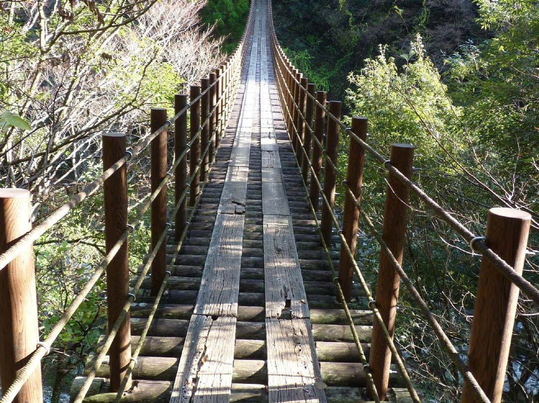 Momigi Suspension Bridge景点图片