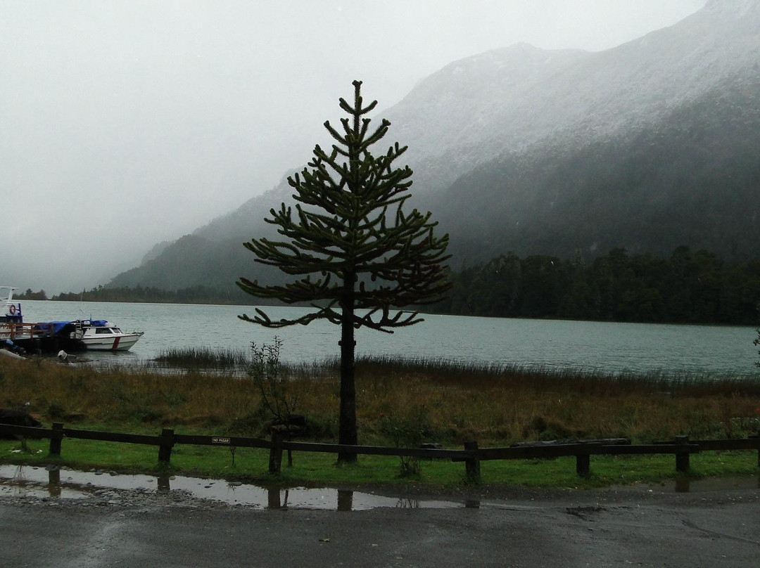 Katamaran Lagos Andinos Day Tours-Petrohue必去景点