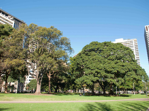 海德公园-悉尼必去景点