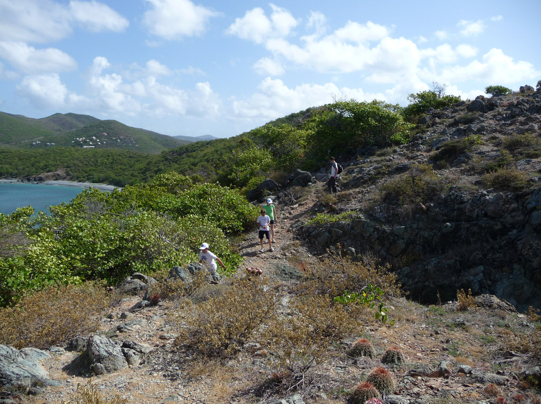 Ram Head Trail-圣约翰必去景点