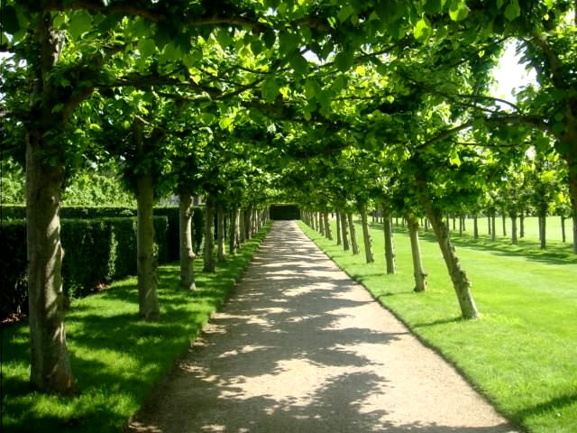 The Sandringham Estate景点图片