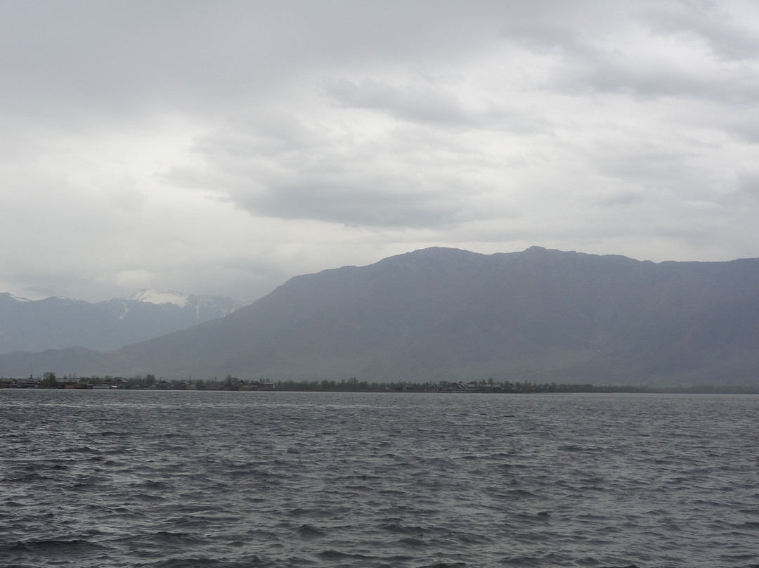 Dal Lake-斯利那加必去景点