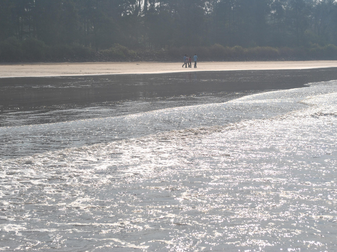 Nagaon Beach-阿里包格必去景点