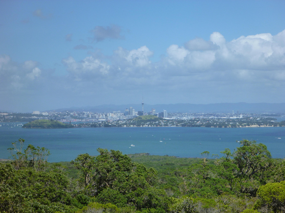 Auckland Sea Kayaks景点图片