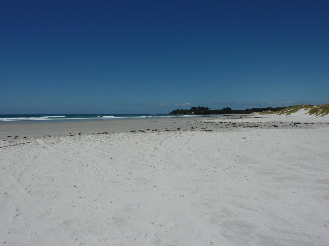 Cape Reinga Adventures Day Tours景点图片
