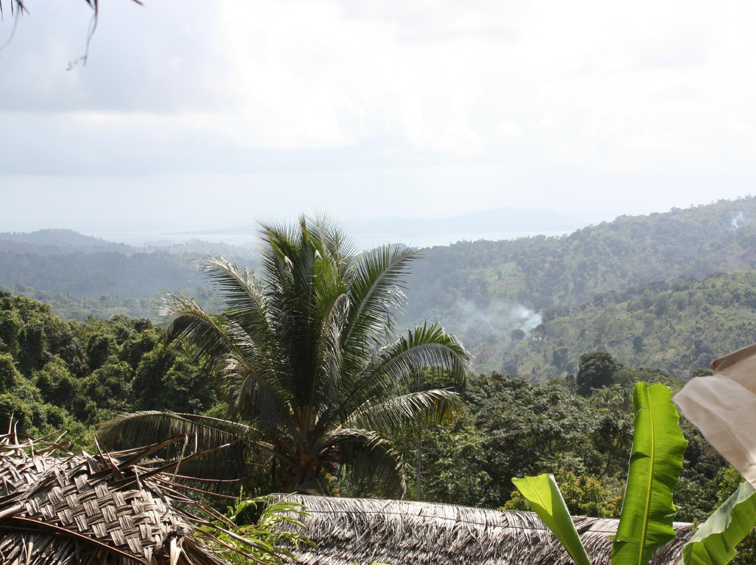 Mayotte Decouverte景点图片