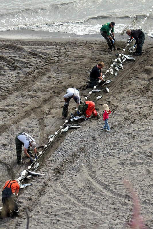 Kenai Beach-基奈必去景点