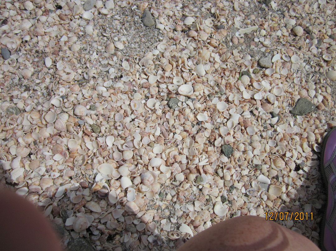 Shell Beach-居斯塔维亚必去景点