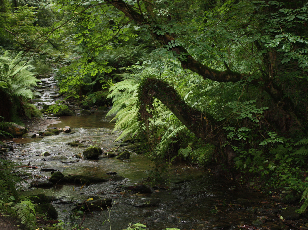 St Nectan's Glen-Tintagel必去景点