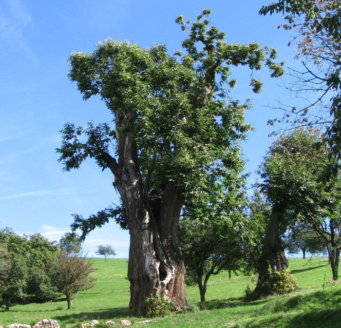 San Rocco di Piegara旅游攻略图片