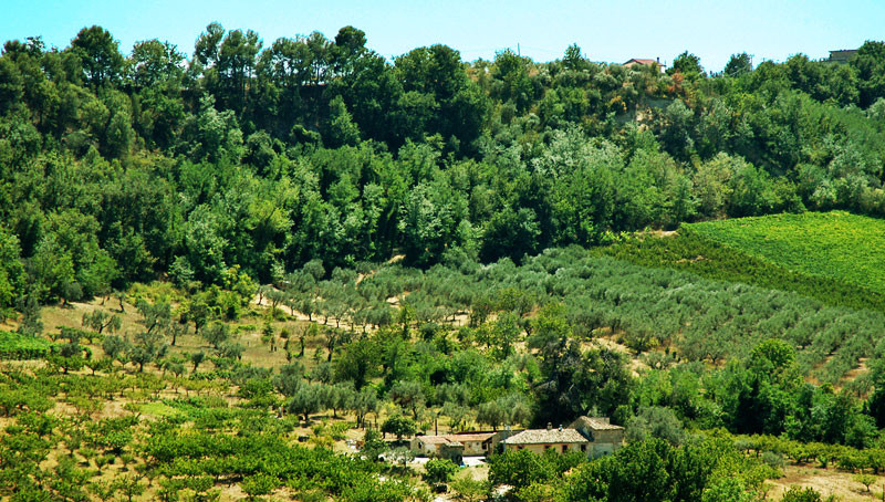 Torrevecchia Teatina酒店住宿-Il Soffio Rosso