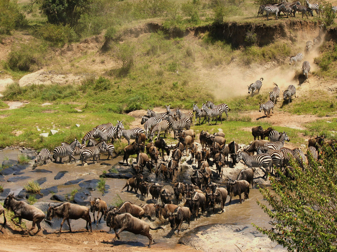 Eyes On Africa Safaris-马赛马拉国家野生动物保护区必去景点