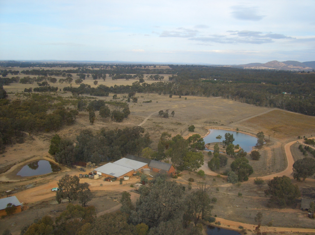Redbank Winery-Redbank必去景点