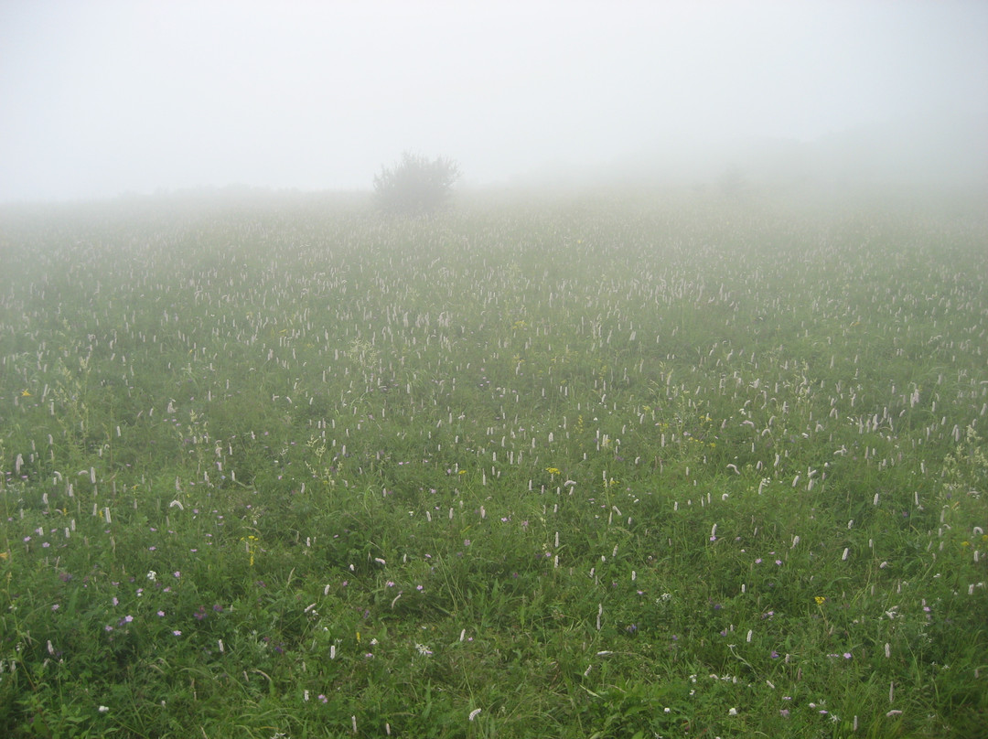百花山国家级自然保护区-北京市必去景点