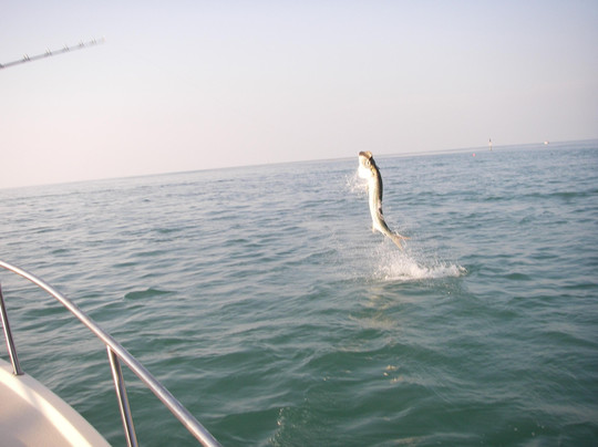 Catch 'Em All-马拉松必去景点