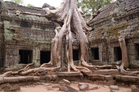 Angkor Wat Driver Private Tours景点图片