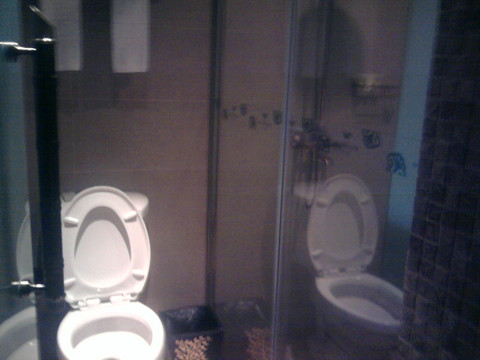 成都望江宾馆宏达贵宾楼主图