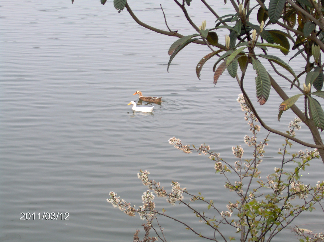 百工堰公园-成都必去景点