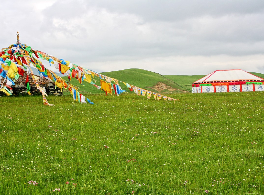 金银滩藏家风情苑主图