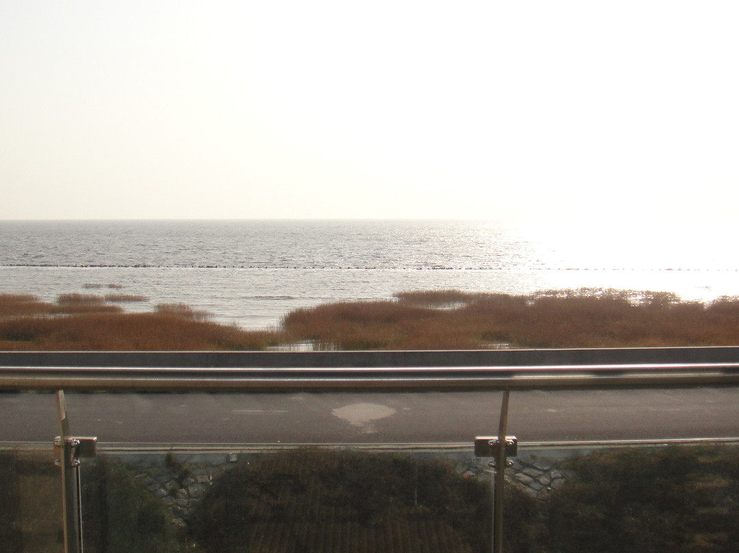 南汇嘴智选假日酒店主图