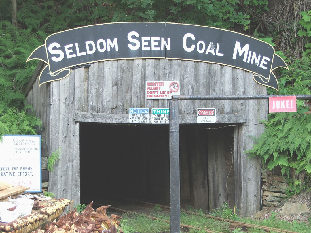Seldom Seen Tourist Coal Mine景点图片