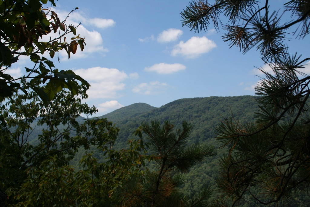 Roan Mountain State Park景点图片