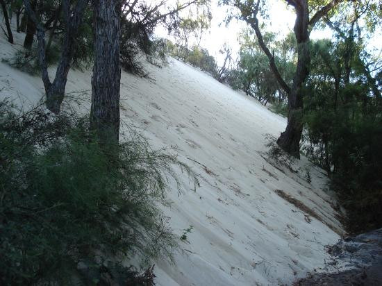 Pemberton Discovery Tours-彭伯顿必去景点