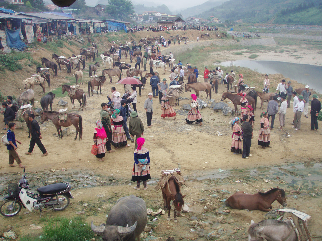 Vietnam Nomad Trails - Day Tours-沙巴必去景点