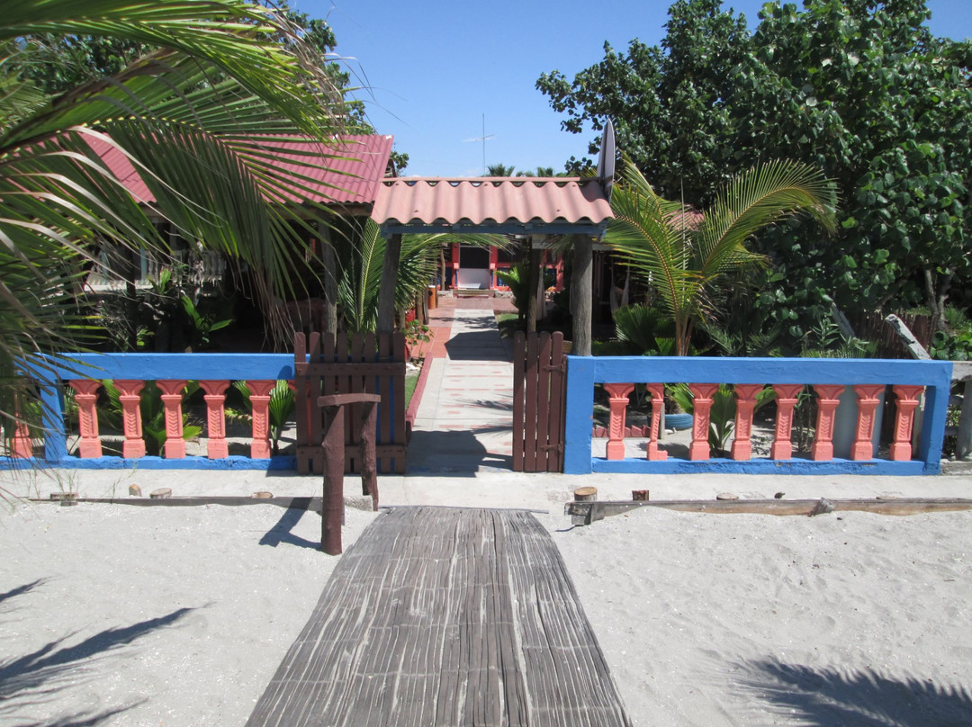 Las Iguanas de Jambeli