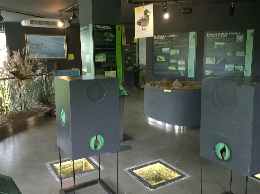 Riserva Naturale Foce dell'Isonzo