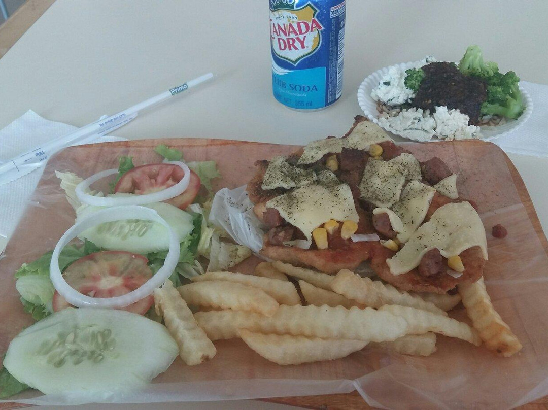 Ciudad Nezahualcoyotl餐馆和美食-Mr. Milanesa